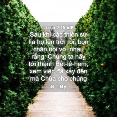 Picture 04 - Lu-ca 2:15 VIE - Sau khi các thiên sứ lìa họ lên trời - Bible Verse Picture