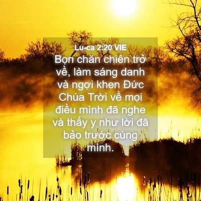 Picture 04 - Lu-ca 2:20 VIE - Bọn chăn chiên trở về, làm sáng danh - Bible Verse Picture