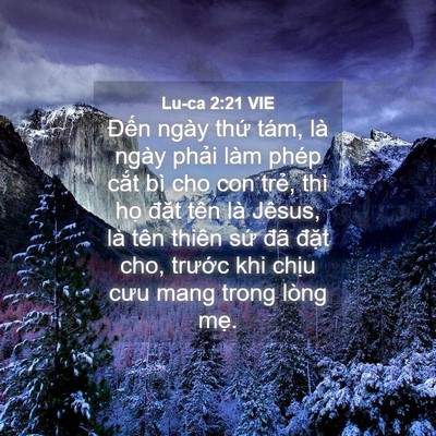 Picture 04 - Lu-ca 2:21 VIE - Đến ngày thứ tám, là ngày phải làm - Bible Verse Picture
