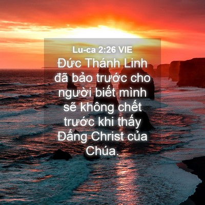 Picture 04 - Lu-ca 2:26 VIE - Đức Thánh Linh đã bảo trước cho - Bible Verse Picture