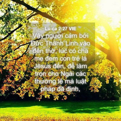 Picture 04 - Lu-ca 2:27 VIE - Vậy người cảm bởi Đức Thánh Linh - Bible Verse Picture