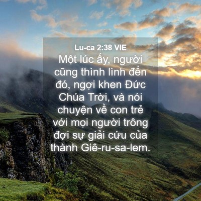 Picture 04 - Lu-ca 2:38 VIE - Một lúc ấy, người cũng thình lình - Bible Verse Picture