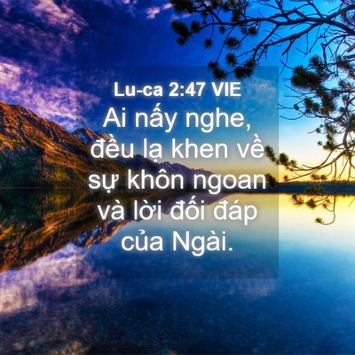 Picture 04 - Lu-ca 2:47 VIE - Ai nấy nghe, đều lạ khen về sự khôn - Bible Verse Picture