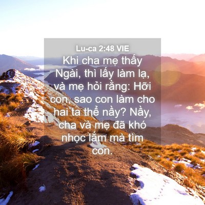 Picture 04 - Lu-ca 2:48 VIE - Khi cha mẹ thấy Ngài, thì lấy làm lạ, - Bible Verse Picture