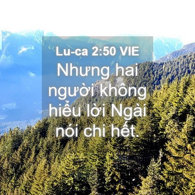 Picture 04 - Lu-ca 2:50 VIE - Nhưng hai người không hiểu lời Ngài - Bible Verse Picture
