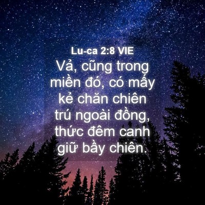 Picture 04 - Lu-ca 2:8 VIE - Vả, cũng trong miền đó, có mấy kẻ - Bible Verse Picture