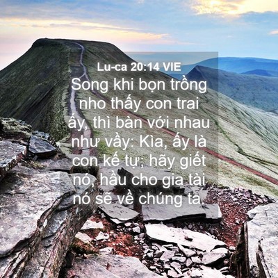 Picture 04 - Lu-ca 20:14 VIE - Song khi bọn trồng nho thấy con trai ấy, - Bible Verse Picture