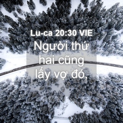 Picture 04 - Lu-ca 20:30 VIE - Người thứ hai cũng lấy vợ - Bible Verse Picture