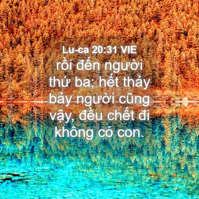 Picture 04 - Lu-ca 20:31 VIE - rồi đến người thứ ba; hết thảy - Bible Verse Picture