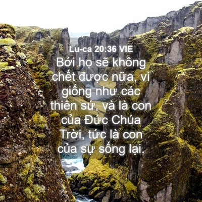 Picture 04 - Lu-ca 20:36 VIE - Bởi họ sẽ không chết được nữa, vì - Bible Verse Picture