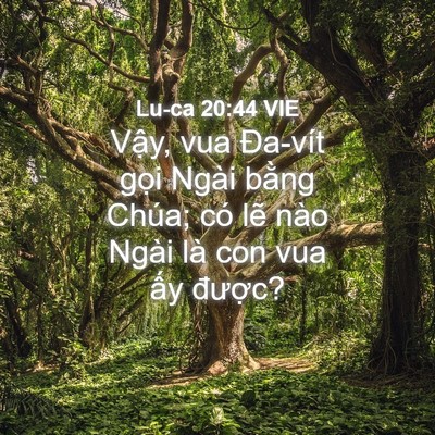Picture 04 - Lu-ca 20:44 VIE - Vậy, vua Đa-vít gọi Ngài bằng Chúa; có - Bible Verse Picture