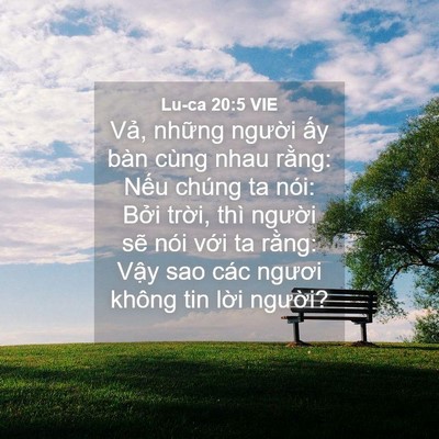 Picture 04 - Lu-ca 20:5 VIE - Vả, những người ấy bàn cùng nhau - Bible Verse Picture