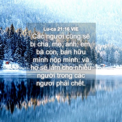 Picture 04 - Lu-ca 21:16 VIE - Các ngươi cũng sẽ bị cha, mẹ, anh, em, - Bible Verse Picture