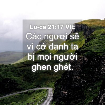 Picture 04 - Lu-ca 21:17 VIE - Các ngươi sẽ vì cớ danh ta bị mọi - Bible Verse Picture