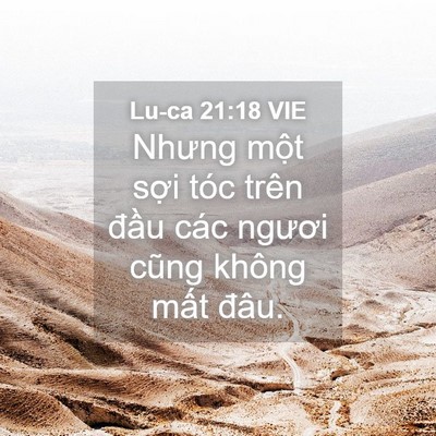 Picture 04 - Lu-ca 21:18 VIE - Nhưng một sợi tóc trên đầu các ngươi - Bible Verse Picture
