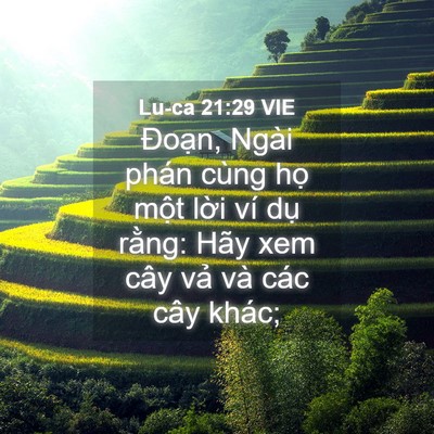 Picture 04 - Lu-ca 21:29 VIE - Đoạn, Ngài phán cùng họ một lời ví - Bible Verse Picture