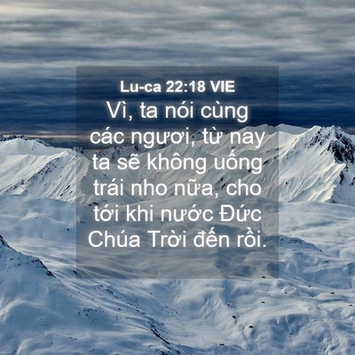 Picture 04 - Lu-ca 22:18 VIE - Vì, ta nói cùng các ngươi, từ nay ta sẽ - Bible Verse Picture