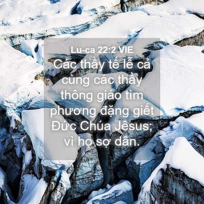 Picture 04 - Lu-ca 22:2 VIE - Các thầy tế lễ cả cùng các thầy - Bible Verse Picture