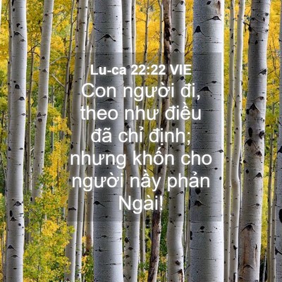 Picture 04 - Lu-ca 22:22 VIE - Con người đi, theo như điều đã chỉ - Bible Verse Picture
