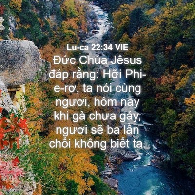 Picture 04 - Lu-ca 22:34 VIE - Đức Chúa Jêsus đáp rằng: Hỡi - Bible Verse Picture