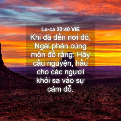 Picture 04 - Lu-ca 22:40 VIE - Khi đã đến nơi đó, Ngài phán cùng môn - Bible Verse Picture