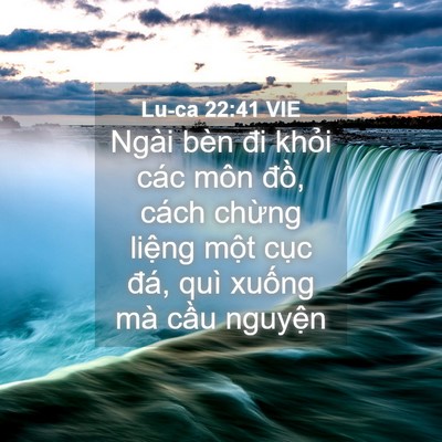 Picture 04 - Lu-ca 22:41 VIE - Ngài bèn đi khỏi các môn đồ, cách - Bible Verse Picture
