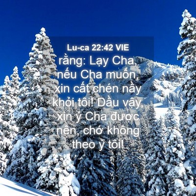 Picture 04 - Lu-ca 22:42 VIE - rằng: Lạy Cha, nếu Cha muốn, xin cất - Bible Verse Picture