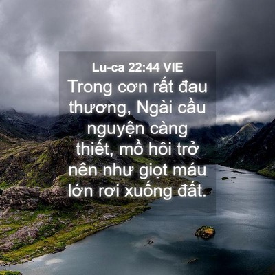Picture 04 - Lu-ca 22:44 VIE - Trong cơn rất đau thương, Ngài cầu - Bible Verse Picture