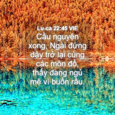 Picture 04 - Lu-ca 22:45 VIE - Cầu nguyện xong, Ngài đứng dậy trở - Bible Verse Picture