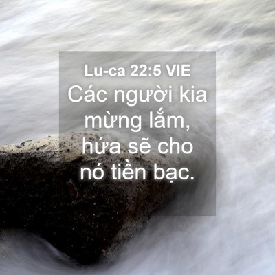 Picture 04 - Lu-ca 22:5 VIE - Các người kia mừng lắm, hứa sẽ cho - Bible Verse Picture