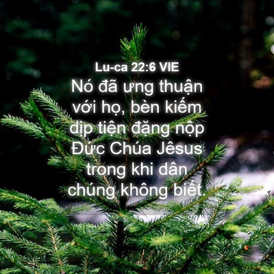 Picture 04 - Lu-ca 22:6 VIE - Nó đã ưng thuận với họ, bèn kiếm - Bible Verse Picture