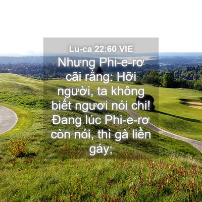Picture 04 - Lu-ca 22:60 VIE - Nhưng Phi-e-rơ cãi rằng: Hỡi người, ta - Bible Verse Picture