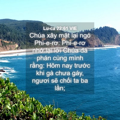 Picture 04 - Lu-ca 22:61 VIE - Chúa xây mặt lại ngó Phi-e-rơ. Phi-e-rơ - Bible Verse Picture