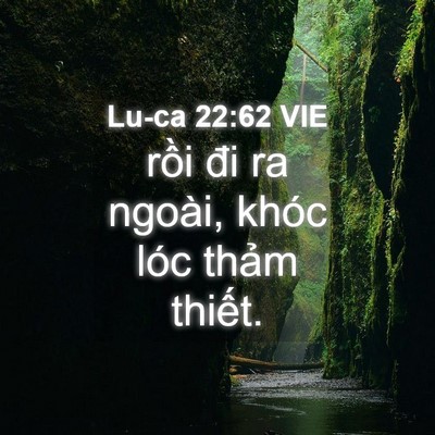 Picture 04 - Lu-ca 22:62 VIE - rồi đi ra ngoài, khóc lóc thảm - Bible Verse Picture