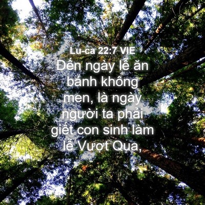 Picture 04 - Lu-ca 22:7 VIE - Đến ngày lễ ăn bánh không men, là ngày - Bible Verse Picture