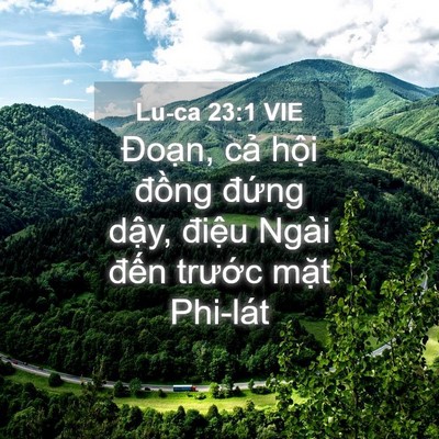 Picture 04 - Lu-ca 23:1 VIE - Đoạn, cả hội đồng đứng dậy, - Bible Verse Picture