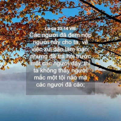 Picture 04 - Lu-ca 23:14 VIE - Các ngươi đã đem nộp người nầy cho - Bible Verse Picture