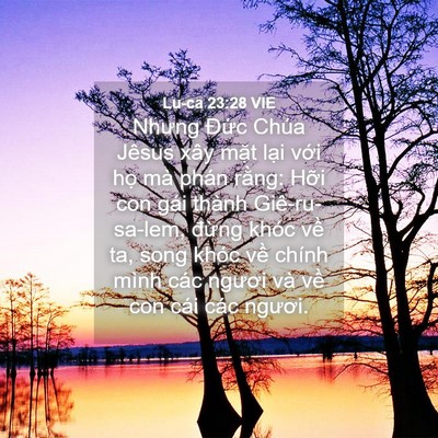 Picture 04 - Lu-ca 23:28 VIE - Nhưng Đức Chúa Jêsus xây mặt lại với - Bible Verse Picture