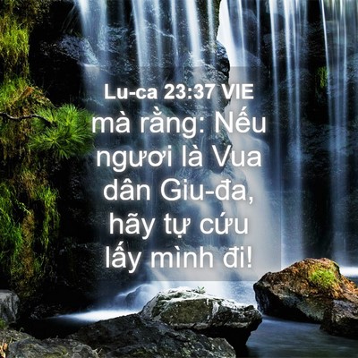 Picture 04 - Lu-ca 23:37 VIE - mà rằng: Nếu ngươi là Vua dân Giu-đa, - Bible Verse Picture