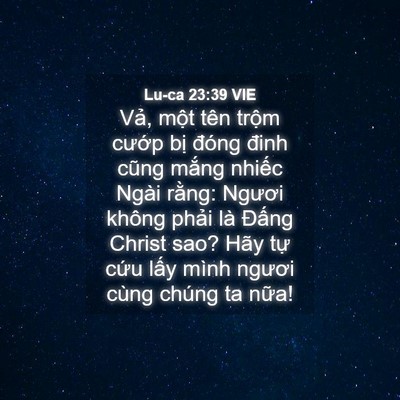 Picture 04 - Lu-ca 23:39 VIE - Vả, một tên trộm cướp bị đóng đinh - Bible Verse Picture