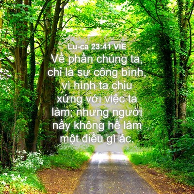 Picture 04 - Lu-ca 23:41 VIE - Về phần chúng ta, chỉ là sự công - Bible Verse Picture