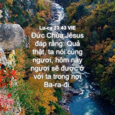 Picture 04 - Lu-ca 23:43 VIE - Đức Chúa Jêsus đáp rằng: Quả thật, - Bible Verse Picture