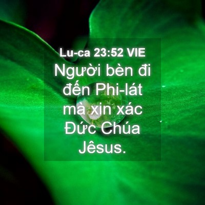 Picture 04 - Lu-ca 23:52 VIE - Người bèn đi đến Phi-lát mà xin xác - Bible Verse Picture