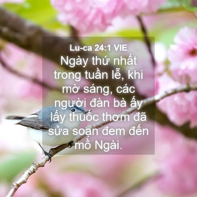 Picture 04 - Lu-ca 24:1 VIE - Ngày thứ nhất trong tuần lễ, khi mờ - Bible Verse Picture