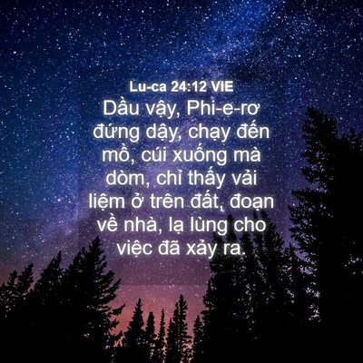 Picture 04 - Lu-ca 24:12 VIE - Dầu vậy, Phi-e-rơ đứng dậy, chạy - Bible Verse Picture