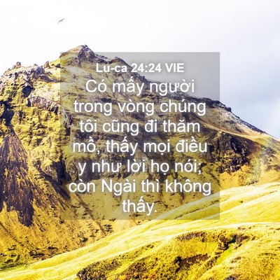 Picture 04 - Lu-ca 24:24 VIE - Có mấy người trong vòng chúng tôi cũng - Bible Verse Picture