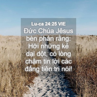 Picture 04 - Lu-ca 24:25 VIE - Đức Chúa Jêsus bèn phán rằng: Hỡi - Bible Verse Picture