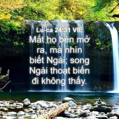 Picture 04 - Lu-ca 24:31 VIE - Mắt họ bèn mở ra, mà nhìn biết Ngài; - Bible Verse Picture