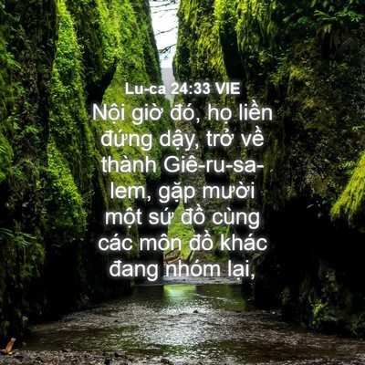 Picture 04 - Lu-ca 24:33 VIE - Nội giờ đó, họ liền đứng dậy, - Bible Verse Picture