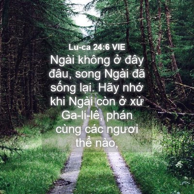 Picture 04 - Lu-ca 24:6 VIE - Ngài không ở đây đâu, song Ngài đã - Bible Verse Picture